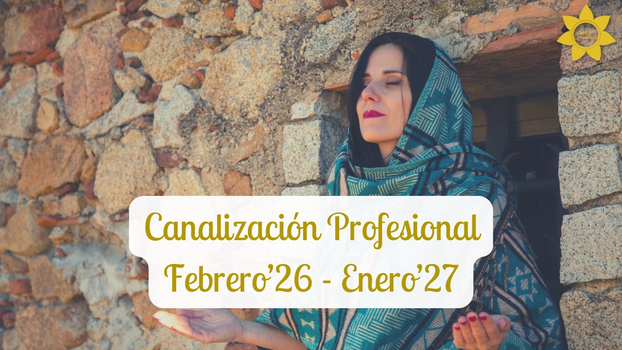 Canalización Profesional