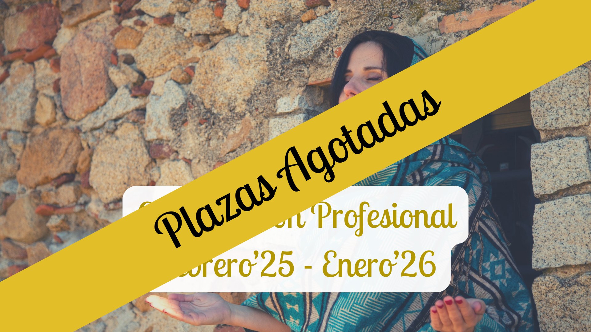 Canalización Profesional 25 pago 335
